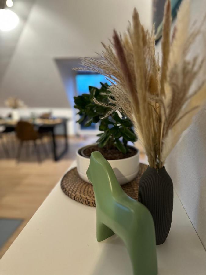 דרזדן Oasis Appart - Wohnen Am Elbtal - Balkon - Netflix - Tiefgarage מראה חיצוני תמונה