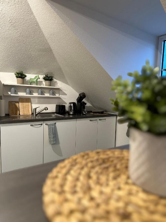 דרזדן Oasis Appart - Wohnen Am Elbtal - Balkon - Netflix - Tiefgarage מראה חיצוני תמונה