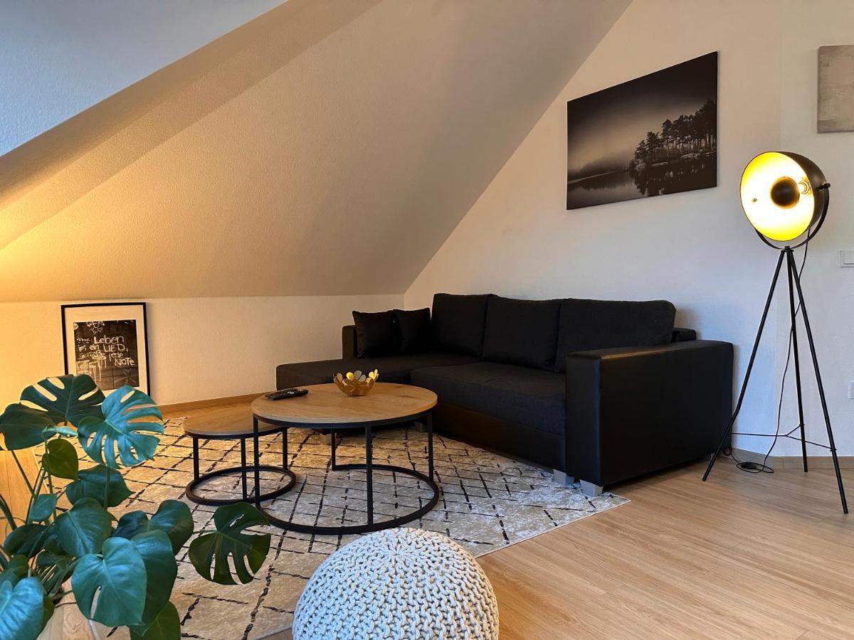 דרזדן Oasis Appart - Wohnen Am Elbtal - Balkon - Netflix - Tiefgarage מראה חיצוני תמונה