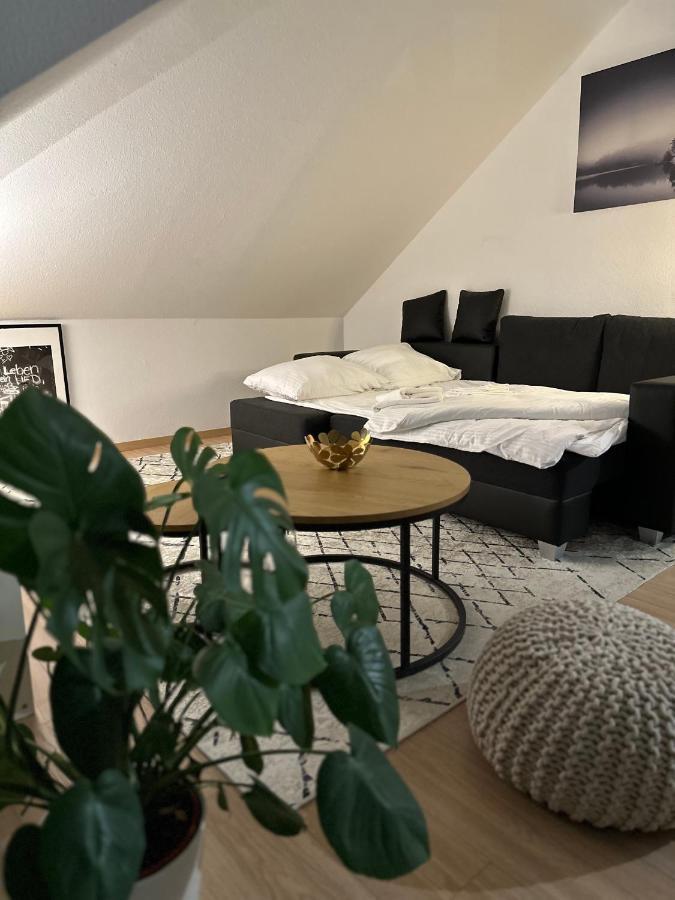 דרזדן Oasis Appart - Wohnen Am Elbtal - Balkon - Netflix - Tiefgarage מראה חיצוני תמונה