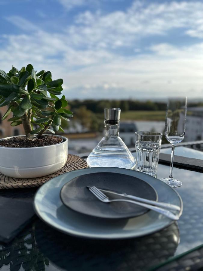 דרזדן Oasis Appart - Wohnen Am Elbtal - Balkon - Netflix - Tiefgarage מראה חיצוני תמונה